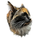 Fiona Discord emoji