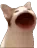 :cat_blob: cat_blob