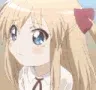 NoNo