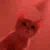 :memeified_hype_cat_vibe_party: memeified_hype_cat_vibe_party