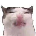 eww