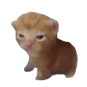 emoji_9