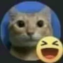 risajaja