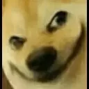 doggysmile
