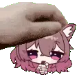 cake_pet
