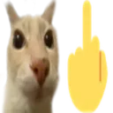 deo