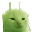 veryGlorp veryGlorp