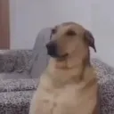 quede