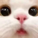 emoji_99