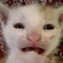 EUGH
