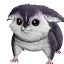PomPom