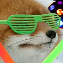 IRLFoxCoolSunglasses2 IRLFoxCoolSunglasses2