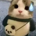 caterm