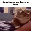bug