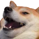 Doge_Smug Doge_Smug