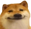 LA_DogSmile