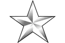 :BrigadierGeneral: