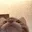 Cat_yum