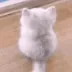 Hehe