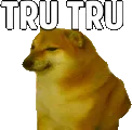 trutruveryconvincing