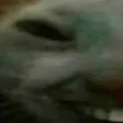 xddL