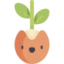 nk