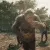 MonkeyDance