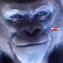 emoji_4