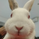 floquito Discord emoji