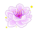 special_purpleflower