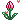 000050_floweropen