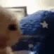 ayo
