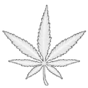 white_weed