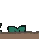 peek
