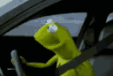 kermit_stare