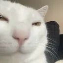 aspen_bruh