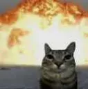 catboom catboom