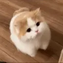 confuse