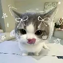 joospilado