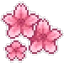 SpFlower1DNS SpFlower1DNS