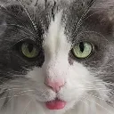 p_ p_