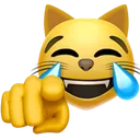 CatPointing