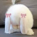 sad_bun