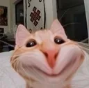 Cat_Smile