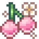 SpCherryDNS