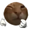 reallybuh reallybuh