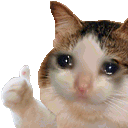 catgun