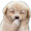 A golden puppy with closed eyes and a wide grin holding one paw up to its mouth.
