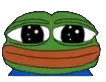 PepeStare