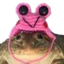 fwog